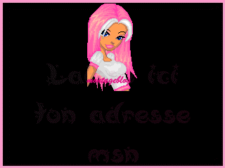 laisse ton adresse msn